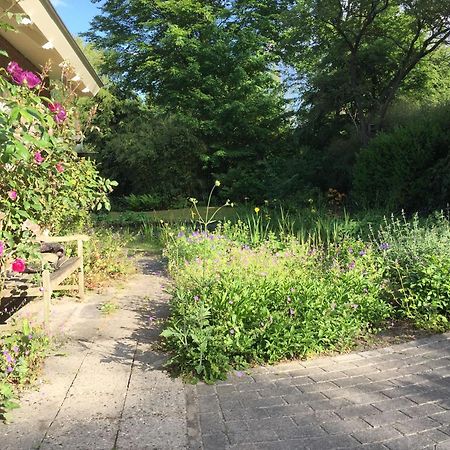Huisje De Geluksvogel Zorgvlied Exterior foto