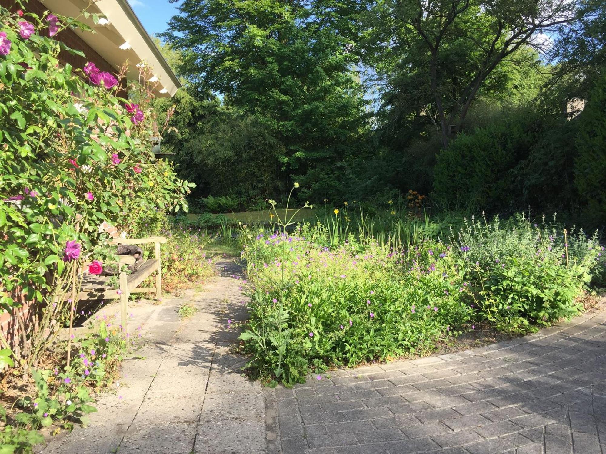 Huisje De Geluksvogel Zorgvlied Exterior foto